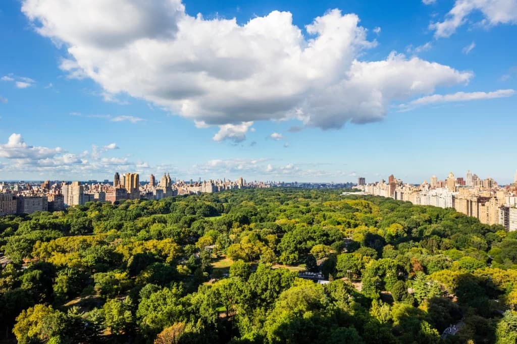 Ritz-Carlton Central Park South 最上階メゾネット 詳細画像 4
